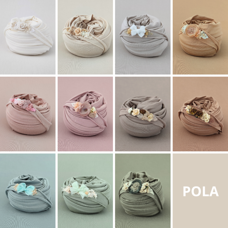 Pola.png