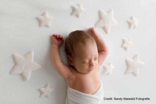 Stella backdrop in use .jpg