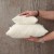 newborn photography pillows - small and large - florence.jpg